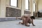 BodyOn_150802_JolienFagard_007_LR.jpg
